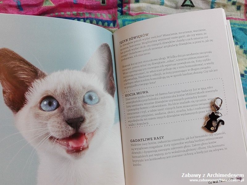 książka o kotach