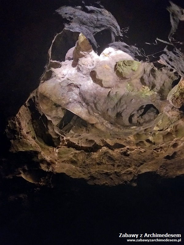 Pierwszy człowiek: Smocza Jama - trening młodego speleologa