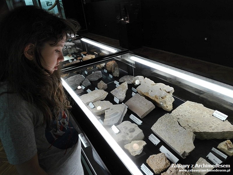 Pierwszy człowiek: Muzeum Geologiczne w Krakowie