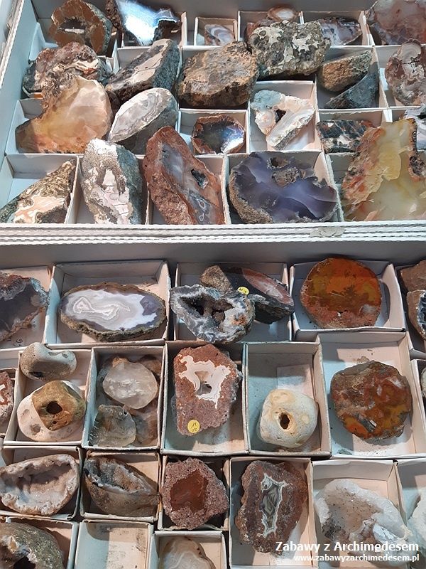 kolekcjonerska giełda minerałów i skamieniałości
